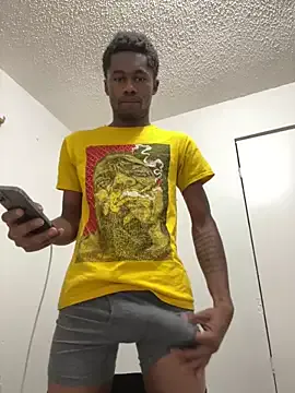 ccswoo Image 2
